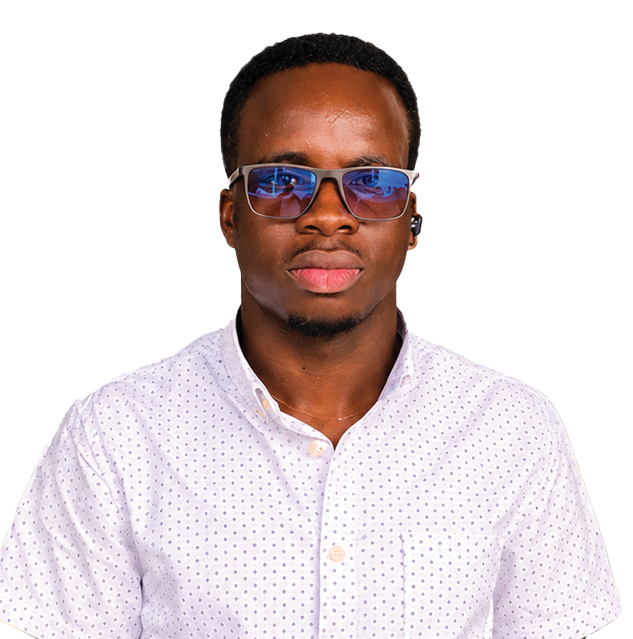 Lab Martin, IT Professional | Delabs Visions